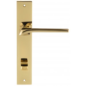 Дверная ручка на планке Extreza ERICA-PL13-WC-96-F06-PVD (ERICA 119) полированная латунь PVD