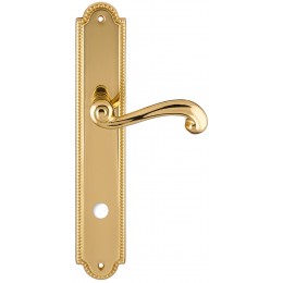 Дверная ручка на планке Extreza BERTA-PL03-WC-96-F01 (BERTA 312) полированная латунь