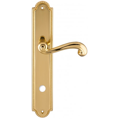 Дверная ручка на планке Extreza BERTA-PL03-WC-96-F01 (BERTA 312) полированная латунь