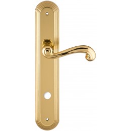 Дверная ручка на планке Extreza BERTA-PL05-WC-96-F01 (BERTA 312) полированная латунь