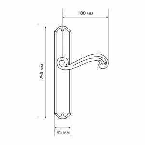 Дверная ручка на планке Extreza BERTA-PL01-WC-96-F01 (BERTA 312) полированная латунь