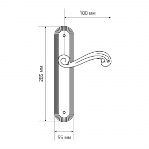 Дверная ручка на планке Extreza BERTA-PL05-WC-96-F01 (BERTA 312) полированная латунь