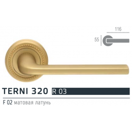 Extreza TERNI (Терни) 320 дверная ручка на розетке R03, цвет матовая латунь F02