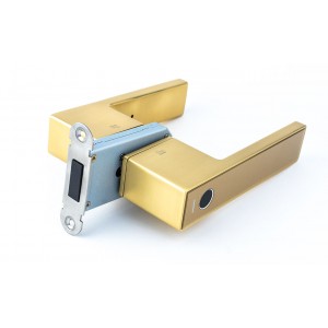 Умный замок с ручками Gimmel F11 DM60 TTLock для межкомнатных дверей золото